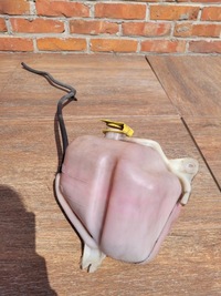 фото thumb №6, Jeep grand cherokee wj 4.0 бачок расширительный