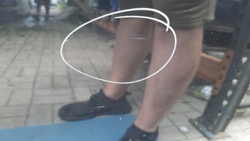 фото thumb №3, Двері перед передні праві renault scenic ii