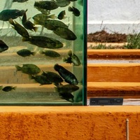 фото thumb №9, Термометр автомобільний приладова панель цифровий приладова панель