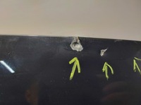 фото thumb №8, Капот крышка двигателя vw golf viii 8 5h0 оригинал