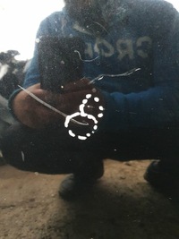 фото thumb №7, Капот jeep compass ii 2016-