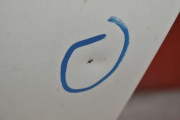 фото thumb №7, Дверь левая перед передние 300 bmw x1 e84 рестайлинг м-пакет 12-15