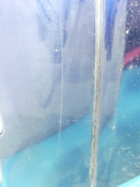 фото thumb №9, Бампер задня chrysler pacifica i granatowy