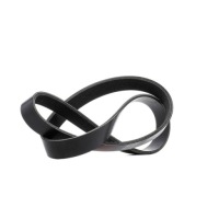 Ridex 305p0055 ремень клиновой многоручьевой к vw golf v schrägheck 1k1 Доставка, фото thumb