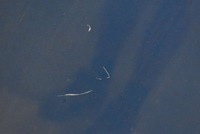 фото thumb №9, Капот крышка двигателя синяя hyundai i30 07-12