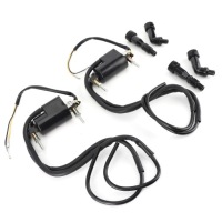 Набор катушек зажигания 21121-1174/21121-1001 заменитель подходящий к modeli в Украине, фото thumb