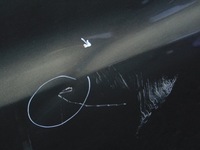 фото thumb №8, Дверь правые зад задние range rover sport ii l494