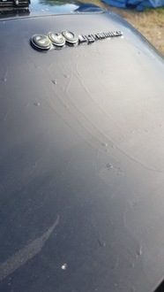 фото thumb №12, Кришка багажника z1eq kia picanto ii