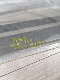 Mini f54 ремінь декоративний правий 51137464060 Недорого, фото thumb