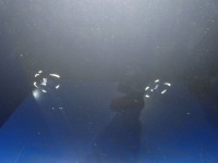 Volvo xc90 2 капот крышка двигателя перед 487-46 в Украине, фото thumb