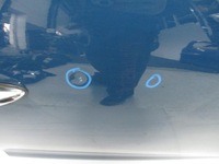 фото thumb №4, Двері праве передні mini countryman r60 11r