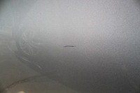 фото thumb №2, Дверь правый зад задние bmw 1 e87 04-11r