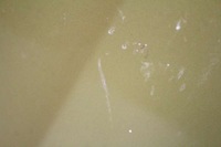 фото thumb №10, Капот кришка двигуна жовта honda hr-v h-r v 1 i 98-01