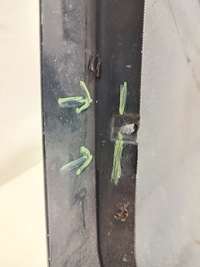 фото thumb №11, Бампер задняя задний maserati quattroporte s gts lift 670066452