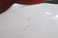 фото thumb №12, Бампер перед передний белый dacia sandero 2 ii 12-20