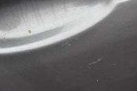 фото thumb №6, Maserati quattroporte v дверь правые зад задние m139a