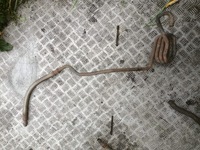 фото thumb №1, Спираль шланг воздуха осушителя scania s r трубка шланг