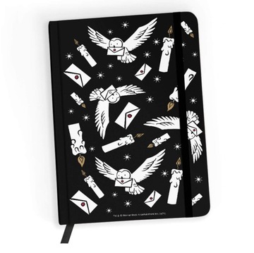 Notes A5 Harry Potter Hedwiga gumka 96k w kratkę