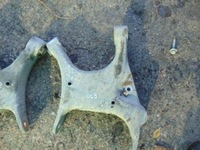 фото thumb №9, Bmw e70 x5 e71 x6 важіль нижній праві лівий зад задній 6700953 6770954