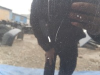 фото thumb №13, Капот mercedes w205 sedan kombi c197 197