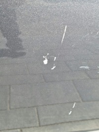 фото thumb №5, Suzuki ignis iii двері праві передні перед