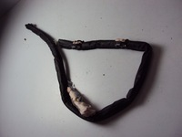 фото thumb №1, Шторка безпеки подушка безпеки права peugeot 308 ii t9 hb 15 r