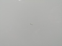 фото thumb №10, Капот mercedes b klasa w247 hal 8741