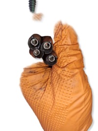 Провода жгут свеча накаливания opel zafira b 1.9 cdti 8v 16v 00551976870 Киев, фото thumb