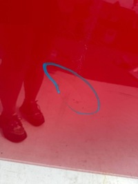 фото thumb №8, Toyota hilux viii lift 2020 капот кришка двигуна