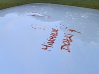 фото thumb №9, Lexus nx капот мінімальний grad!