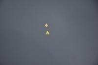 фото thumb №5, Капот кришка двигуна opel insignia a