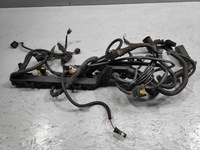 фото thumb №1, Bmw mini r50 жгут трубопровод двигателя 7520936