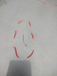 Капот citroen berlingo 3 ezwd Киев, фото thumb