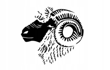 Koszulka długi rękaw Brubeck OUTDOOR WOOL PRO L