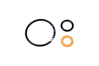 фото thumb №1, Dt spare parts 1.31250 набір ремонтний, насадка упорскування