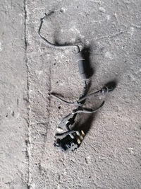 фото thumb №1, Клапан вакууму octavia iii 5e 1.6 tdi