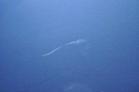 фото thumb №7, Hyundai i40 двері правий перед передні yu6 kpl