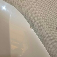 фото thumb №5, Subaru forester iii капот крышка двигателя 37j перламутр