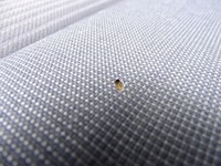 фото thumb №6, Ford fiesta mk7 08-17 заднє сидіння задня задня комплектна підголівники