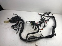 фото thumb №11, Ford fiesta mk7 джгут двигуна 8v5t12a522