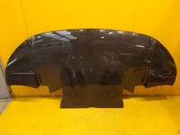 фото thumb №1, Audi r8 4s захист плита бампера перед карбон 4sa807039d