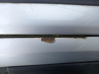 фото thumb №10, Citroen berlingo дверь правый перед правое передние ezrc