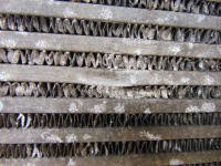 Радіатор інтеркулер audi a4 a5 b9 8k0145805r в Україні, фото thumb