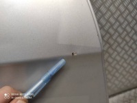 фото thumb №12, Дверь задние правое задняя mercedes a klasa w169 цвет серебристый / wyszków wawa