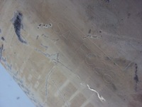 фото thumb №6, Каталізатор фільтр dpf citroen ds5 1.6 hdi