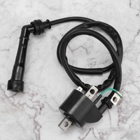 фото thumb №10, Катушка зажигания с насадка сменные аксессуары