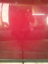 фото thumb №6, I136 дверь правый перед chevrolet orlando gcs