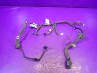 фото thumb №1, Scenic iii 3 жгут дверь правый задняя 241263410r