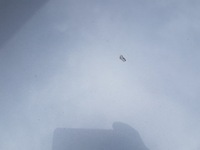 фото thumb №4, Bmw x3 e83 lift капот m-pakiet silbergrau a08