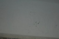 фото thumb №14, Двері правий задня skoda fabia ii hb 1026